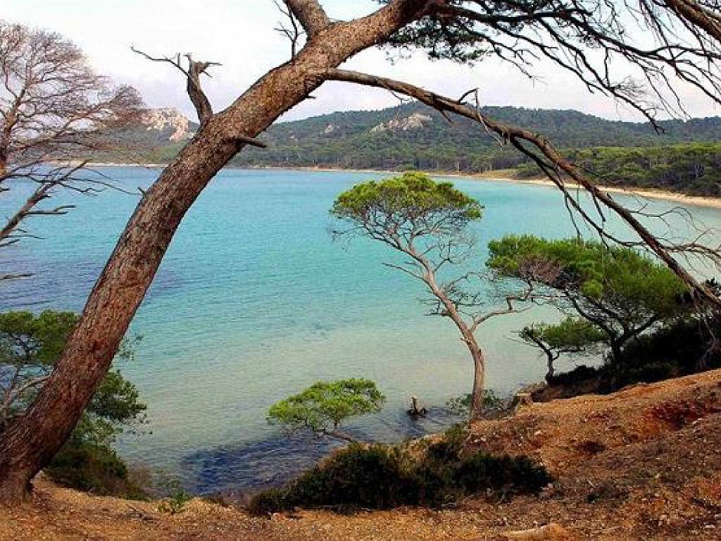 183 ILE DE PORQUEROLLES -3_000010.jpg